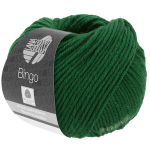 Lana Grossa BINGO  Uni/Melange | 174-Tanne