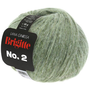 Lana Grossa BRIGITTE NO. 2 | 18-Graugrün