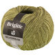 Lana Grossa BRIGITTE Silkdream | 06-Khaki