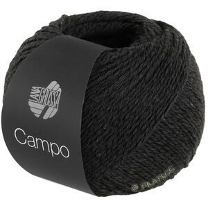 Lana Grossa CAMPO | 24-Schwarz