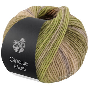 Lana Grossa CINQUE MULTI | 26-Graugrün/Brombeer/Flieder/Rosenholz/Senf meliert