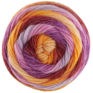 Lana Grossa COLORATO Aktion | 06-Orange/Burgund/Violett/Rosa/Blaulila/Gelb