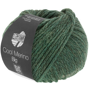 Lana Grossa COOL MERINO Big | 205-Moosgrün
