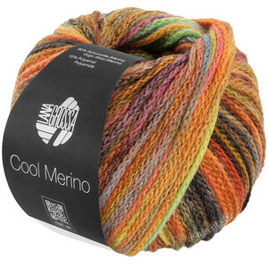 Lana Grossa COOL MERINO Color | 313-Braun/Gelb/Orange/Graugrün/Apfelgrün/Flaschengrün/Jade/Umbra/Rost/Erika/Himbeer