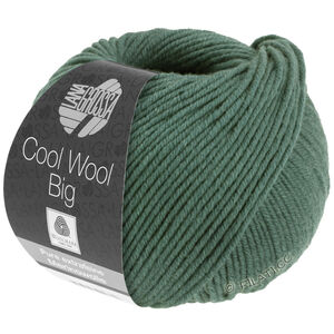 Lana Grossa COOL WOOL Big  Uni/Melange | 1004-Moosgrün
