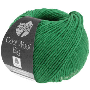 Lana Grossa COOL WOOL Big  Uni/Melange | 0939-Dunkelgrün