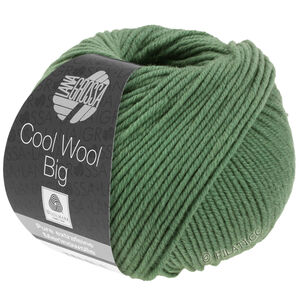 Lana Grossa COOL WOOL Big  Uni/Melange | 0967-Resedagrün