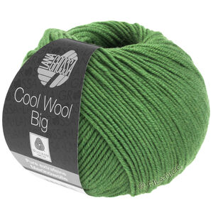 Lana Grossa COOL WOOL Big  Uni/Melange | 0997-Blattgrün