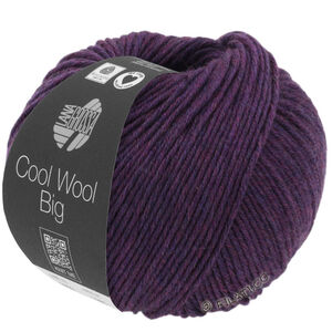 Lana Grossa COOL WOOL Big Mélange (We Care) | 1604-Dunkelviolett meliert