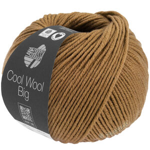 Lana Grossa COOL WOOL Big Mélange (We Care) | 1623-Karamell meliert