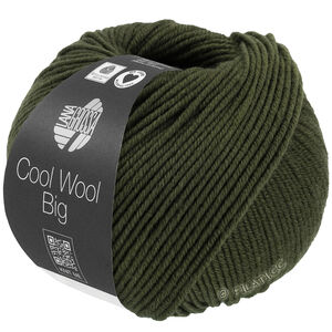 Lana Grossa COOL WOOL Big Mélange (We Care) | 1695-Lodengrün meliert