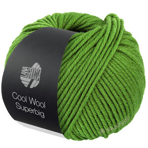 Lana Grossa COOL WOOL Superbig | 25-Maigrün