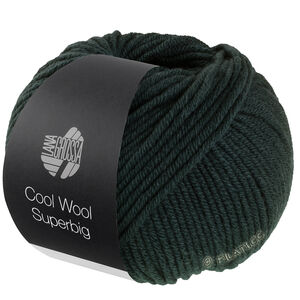 Lana Grossa COOL WOOL Superbig | 29-Lodengrün