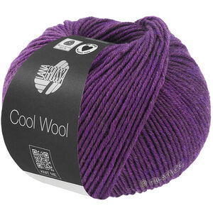 Lana Grossa COOL WOOL Mélange (We Care) | 1499-Violett meliert