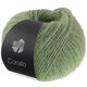 Lana Grossa CORALLO 50g | 109-Salbeigrün