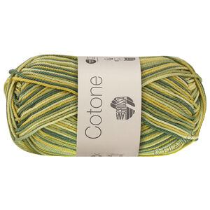 Lana Grossa COTONE  Print/Spray/Mouliné | 367-Weißgrün/Kiwigrün/Opalgrün/Patinagrün