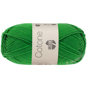 Lana Grossa COTONE | 135-Mintgrün