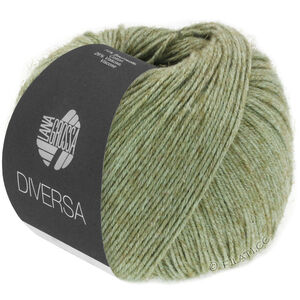 Lana Grossa DIVERSA | 10-Graugrün