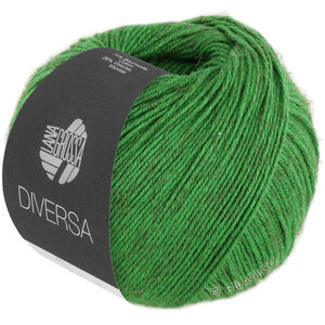 Lana Grossa DIVERSA | 19-Grasgrün