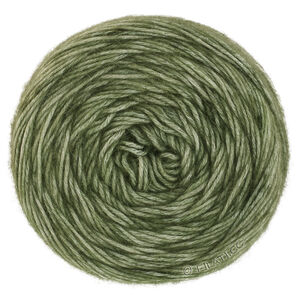 Lana Grossa ECOPUNO Hand-dyed | 65-Olivgrün