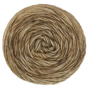 Lana Grossa ECOPUNO Hand-dyed | 67-Beigegrau/Taupe