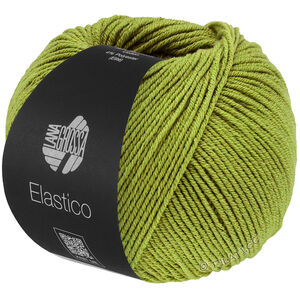 Lana Grossa ELASTICO | 202-Pistazie