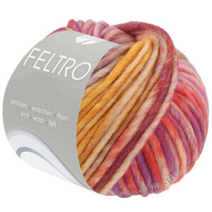 Lana Grossa FELTRO Camino | 843-Orange/Rosa/Flieder/Violett/Senfgelb/Hellgrau/Helloliv