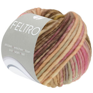 Lana Grossa FELTRO Camino | 845-Helloliv/Dunkeloliv/Pastellrosa/Altrosa/Rosenholz/Sandbeige
