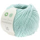 Lana Grossa FOURSEASON (Linea Pura) | 39-Mint