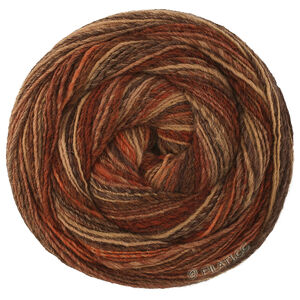 Lana Grossa GOMITOLO DISEGNO | 525-Burgund/Beige/Rost/Taupe/Dunkelbraun/Graubraun/Schwarzbraun