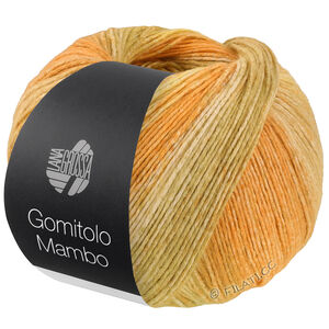 Lana Grossa GOMITOLO MAMBO | 2041-