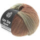 Lana Grossa LACE Seta Dégradé 50g | 115-Natur/Grüngrau/Nougat/Schokobraun