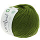 Lana Grossa LANDLUST MERINO 120 (GOTS & ICEA) | 117-Grün