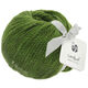 Lana Grossa LANDLUST MERINO 120 | 117-Grün