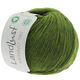 Lana Grossa LANDLUST MERINO 180 (GOTS & ICEA) | 217-Grün