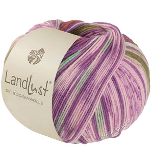 Lana Grossa LANDLUST DIE SOCKENWOLLE | 611-Orchidee/Braun/Maigrün/Ecru/Rosé/Oliv gestreift