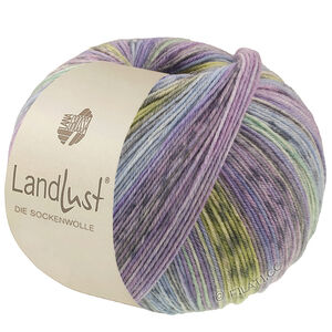 Lana Grossa LANDLUST DIE SOCKENWOLLE | 618-Veilchenblau/Jeans/Hellblau/Hellgrau/Dunkelgrau/Jade/Pistazie/Flieder gestreift