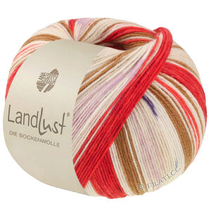 Lana Grossa LANDLUST DIE SOCKENWOLLE | 725-Orientrot/Erdbeerrot/Ecru/Braun/Rosa/Flieder/Hellbeige/Dunkelblau gestreift