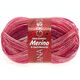 Lana Grossa MEILENWEIT 6-FACH 150g Merino Print | 9060-