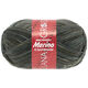 Lana Grossa MEILENWEIT 6-FACH 150g Merino Print | 9316-