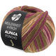 Lana Grossa MEILENWEIT 100g Alpaca Poncho | 2728-Moosgrün/Rotviolett/Ecru/Orange/Braun