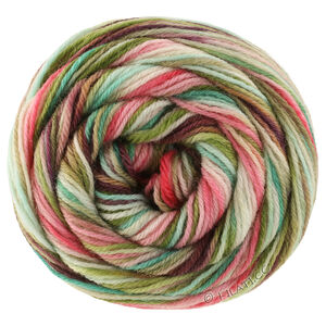 Lana Grossa MEILENWEIT 100g Cascata | 5205-Mokka/Dunkelbraun/Graubraun/Rosa/Zartgrün/Lindgrün/Graugrün/Jade/Pink/Türkis