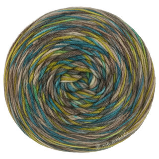 Lana Grossa MEILENWEIT 100g Merino Hand-dyed