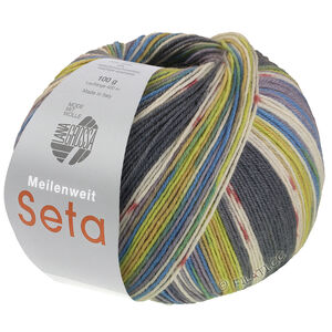 Lana Grossa MEILENWEIT 100g Seta Giappone | 3387-Dunkelgrau/Ecru/Terrakotta/Limette/Mausgrau/Pistazie/Azurblau