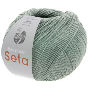 Lana Grossa MEILENWEIT 100g Seta | 14-Grau