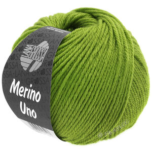 Lana Grossa MERINO UNO | 21-Apfelgrün