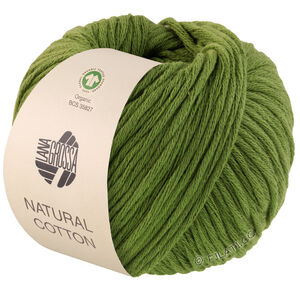 Lana Grossa NATURAL COTTON (GOTS) | 03-Grün