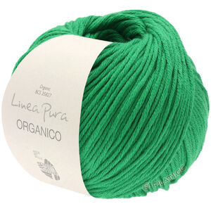 Lana Grossa ORGANICO (Linea Pura) | 129-Grün