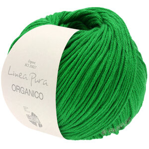 Lana Grossa ORGANICO (Linea Pura) | 163-Grasgrün