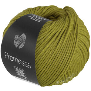 Lana Grossa PROMESSA | 10-Pistazie